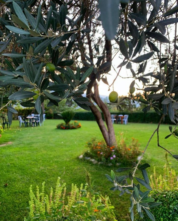 Përmet Merly Hotel מראה חיצוני תמונה