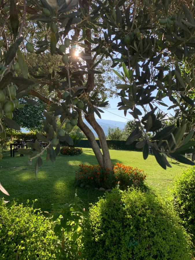 Përmet Merly Hotel מראה חיצוני תמונה
